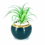Home Decor Artificial Bonsai Plants with Ceramic Pot - Aasma World