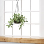 Lush Hanging Basket Artificial Creeper Plant